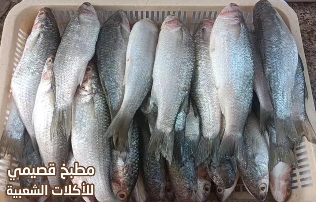صور وصفة سمك الميد المقلي سهل ولذيذ fried mugil fish recipe
